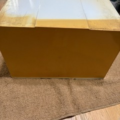 昭和レトロ　薬箱　プラスチック製の画像