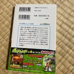 本　ポケットモンスターココの画像