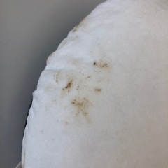 SNOOPY 顔のクッション　汚れあり　no.2682の画像