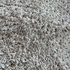 【ラグ・カーペット】ニトリ　アクセントラグ　ベージュ　160×230の画像