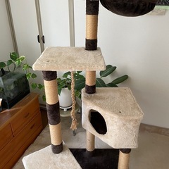 キャットタワーの画像