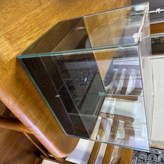 ３０縁なし水槽とエビの画像