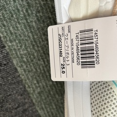 未使用品⭐︎MIZUNO(ミズノ) ユニセックス大人 ウエーブリボルト 3  25.0cmの画像