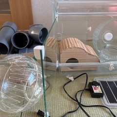 新春特別価格‼️ハムスター飼育セットの画像