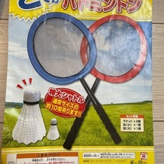 ドデカバドミントン
の画像