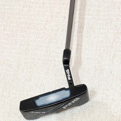 ピン PING CADENCE TR Anser 2 (青) パターの画像