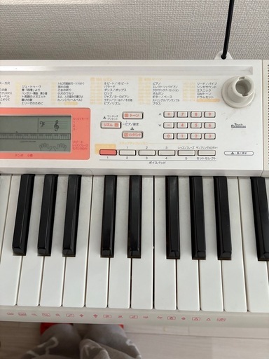 CASIOカシオLK-123