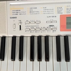 CASIOカシオLK-123 の画像