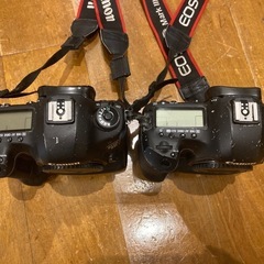Canon 5d markiii ジャンクの画像