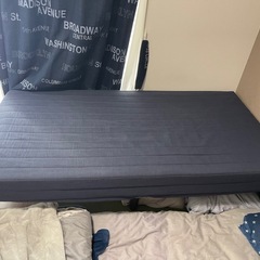 ニトリシングルベッド
の画像