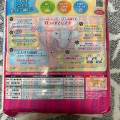 マナーウェア女の子用S S38枚の画像