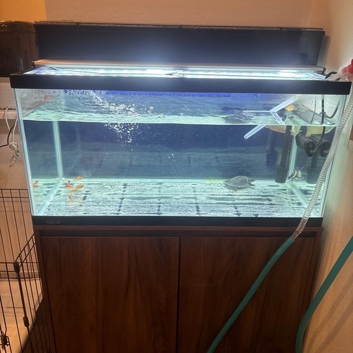 90センチ水槽 (🧊) 高松のその他の中古あげます・譲ります｜ジモティー