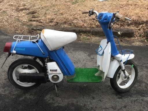 パッソル実動
