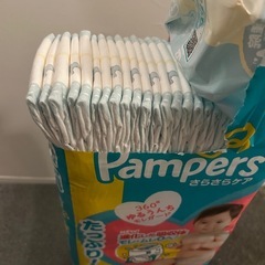 ◆パンパース◆さらさらケア　M◆61枚◆テープ　　の画像