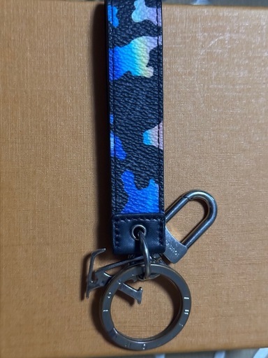 値下げ可！‼️LOUIS VUITTON(ルイ・ヴィトン)　キーリング、ドラゴンヌ LVシェイプ