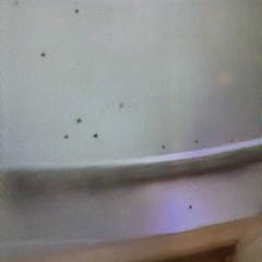 配送可【パナソニック】【画面に難有り
】32V液晶テレビ（訳アリ）★2018年製　クリーニング済み/6ヶ月保証付き【管理番号0107】伊の画像