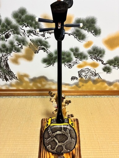 沖縄三線！新品！貴重！知念大工型！本張り【一枚張り】② (ちょこ) て