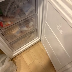 冷蔵庫　決まりましたの画像