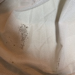 ニトリ　レースカーテンの画像