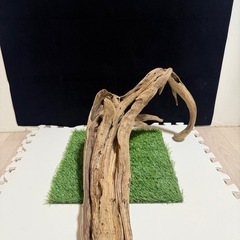 天然流木の画像