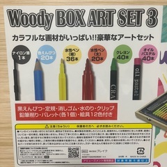 新品未使用‼️  ウッドボックス ペンセット 157本の画像