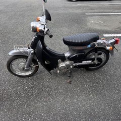 リトルカブの画像