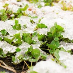 EngtA（英語エンタ）英語・英会話高石教室（ABCからでも自分のペースで）の画像