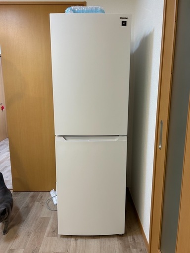 SHARP 2024年製冷蔵庫【取りに来ていただける方限定】