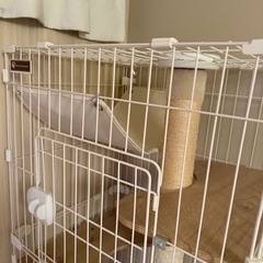キャットタワーハウスをお譲りします🐾の画像