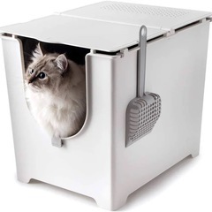 【1月末まで】猫様トイレ０円！の画像