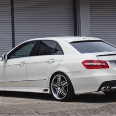 ロリンザーフルエアロの画像