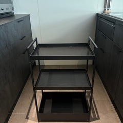 ニッサフォースの画像