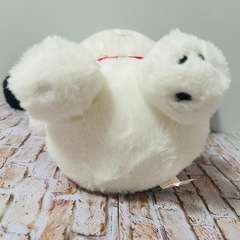 【美品】サンリオピューロランド　ポチャッコぬいぐるみ お着替えぬいぐるみの画像