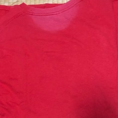 Cymru エンブレム Tシャツ 赤　古着の画像