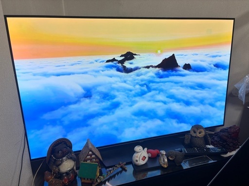 4K有機EL55型テレビ　LG製OLED55B6P