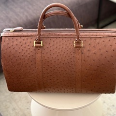 オーストリッチのバックの画像