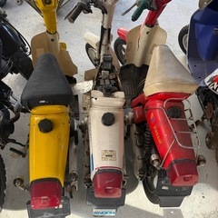 パッソル　の画像