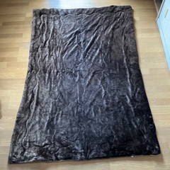 ニトリのNモイスト毛布 掛け&敷パッド ダブルの画像