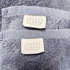 タオル研究所 バスタオル #033 2枚セットの画像
