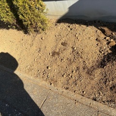 庭の土　の画像