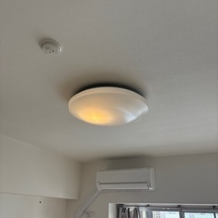 シーリングらいとライトの画像