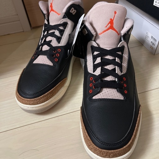 NIKE 大きいサイズ 30cm エアジョーダン
