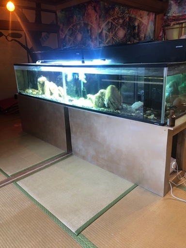 120cmガラス水槽セット