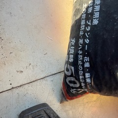 デコレーションバーク　の画像