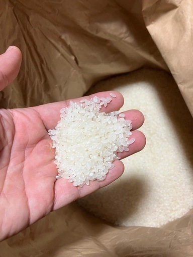 令和７年産コシヒカリ玄米