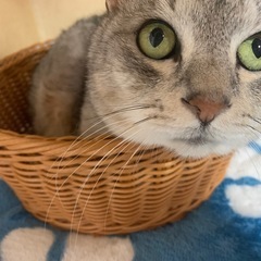 急募　生活困難　助けて下さい