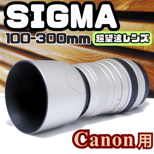 一眼レフ 望遠レンズ SIGMA 100-300mm Canon用 望遠レンズ