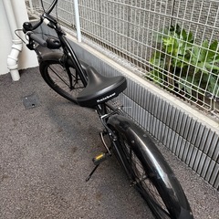 Rainbowビーチクルーザー★使用期間2年未満の画像