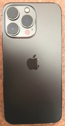 iPhone 13 Pro 256 GB グラファイト