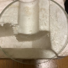 長期保管.顕微鏡の画像